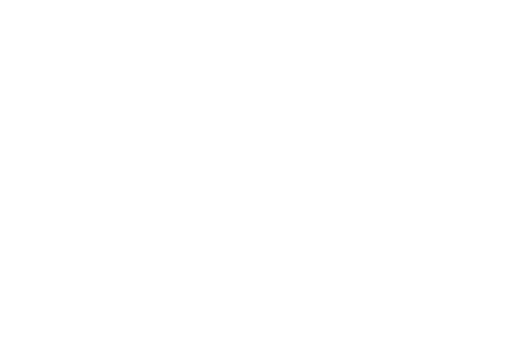 OFFICIAL SELECTION - Twin Cities Film Festival - 2018